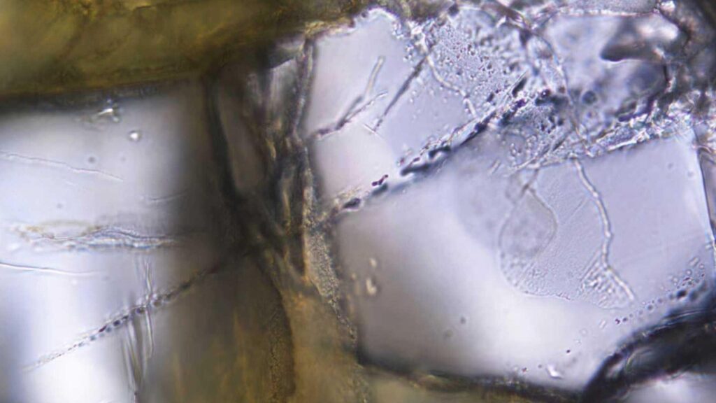 Hemos logrado transformar la luz del sol y el agua de mar en el combustible del mañana