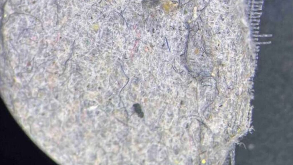 Investigadores australianos desarrollan un filtro de lavadora que retiene microplásticos de 20 micrómetros, igual que la ley francesa que desde enero de 2025 obliga a incorporarlos en todas las lavadoras nuevas