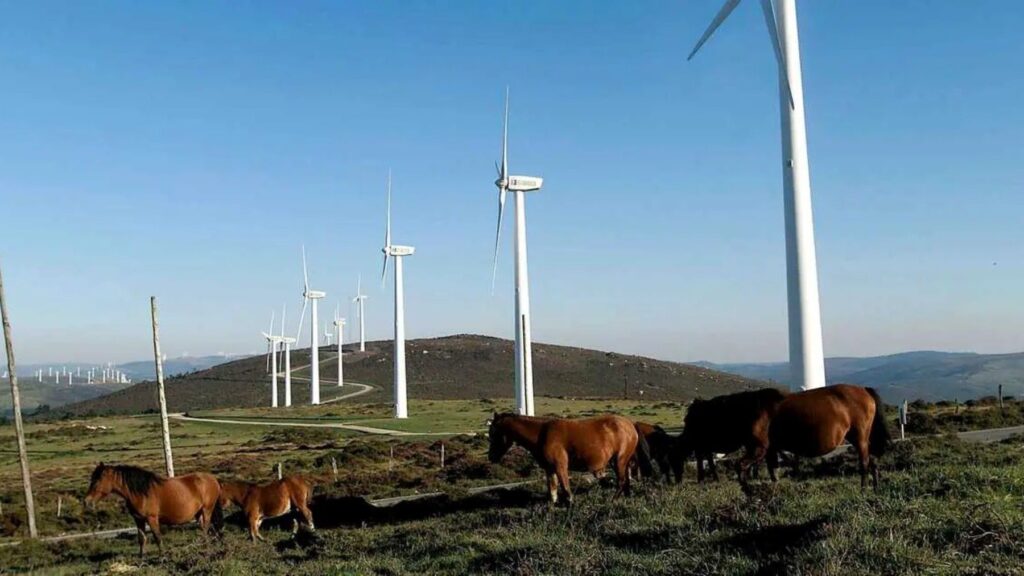 Récord de alegaciones contra los polígonos eólicos Astillero I y II en Cantabria