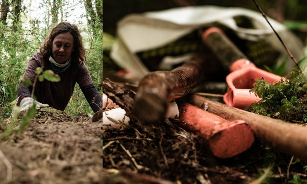 Voluntariado Manos a la Pala refuerza conservación del Alerce Milenario