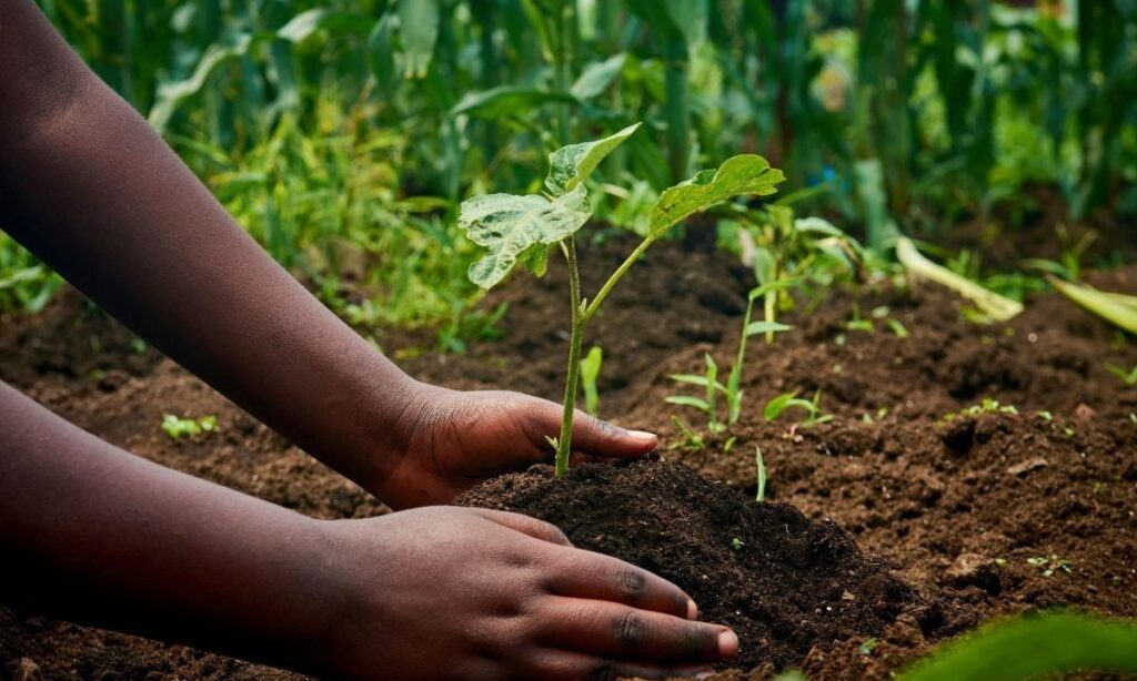 Abren inscripciones a talleres gratuitos de educación ambiental en Puerto Varas