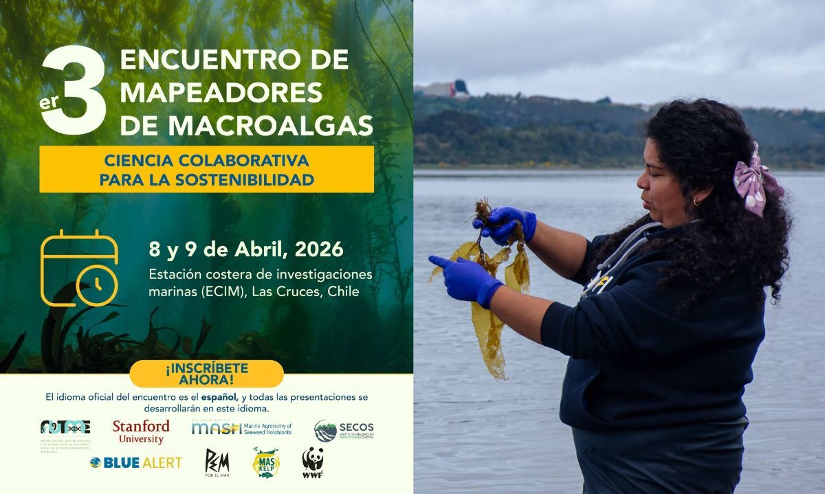 Aún está abierta la inscripción al Encuentro de Mapeadores de Macroalgas