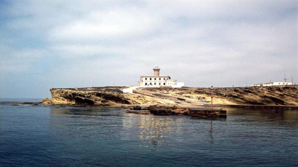 Campañas del IEO en el mar de Alborán y Estrecho Oriental revelan nuevos datos