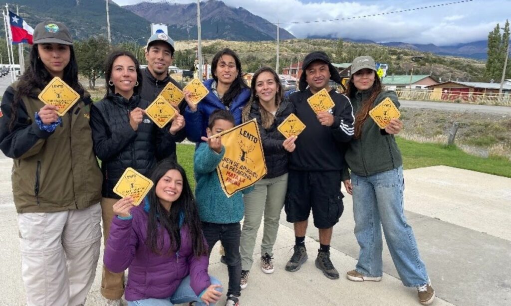 Comunidades de Aysén se movilizan para evitar atropellos de huemules en Cerro Castillo