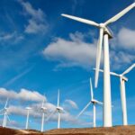 Con Forestalia bajo sospecha debe aplicarse una moratoria a sus proyectos de renovables