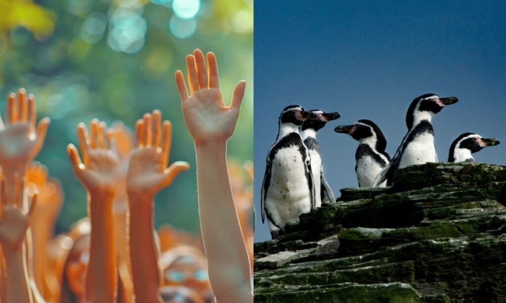 Convocan a marcha nacional por la defensa del medioambiente