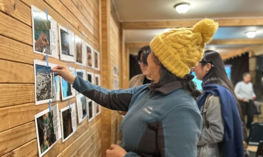 Convocan a talleres para la creación de futura área protegida en Puchegüín