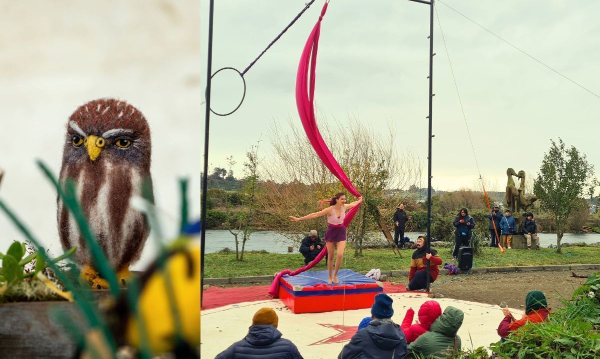 Deporte, arte y navegaciones: vuelve el Festival Cultural y Ambiental Río Maullín