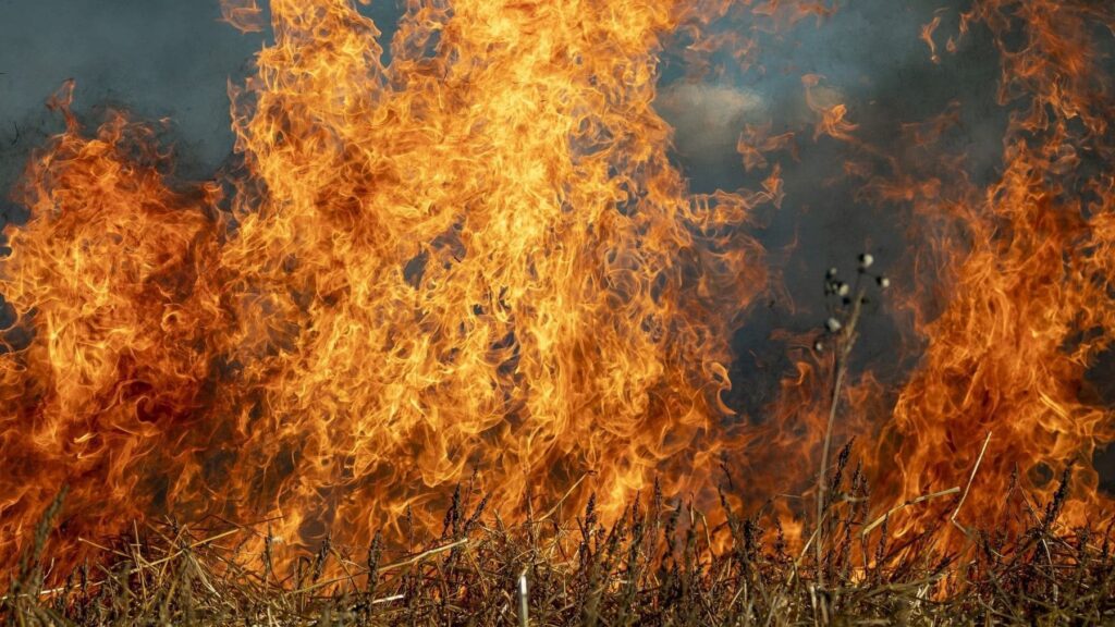 Desastre medio ambiente en Argentina sigue su curso con cambios en leyes de tierras e incendios
