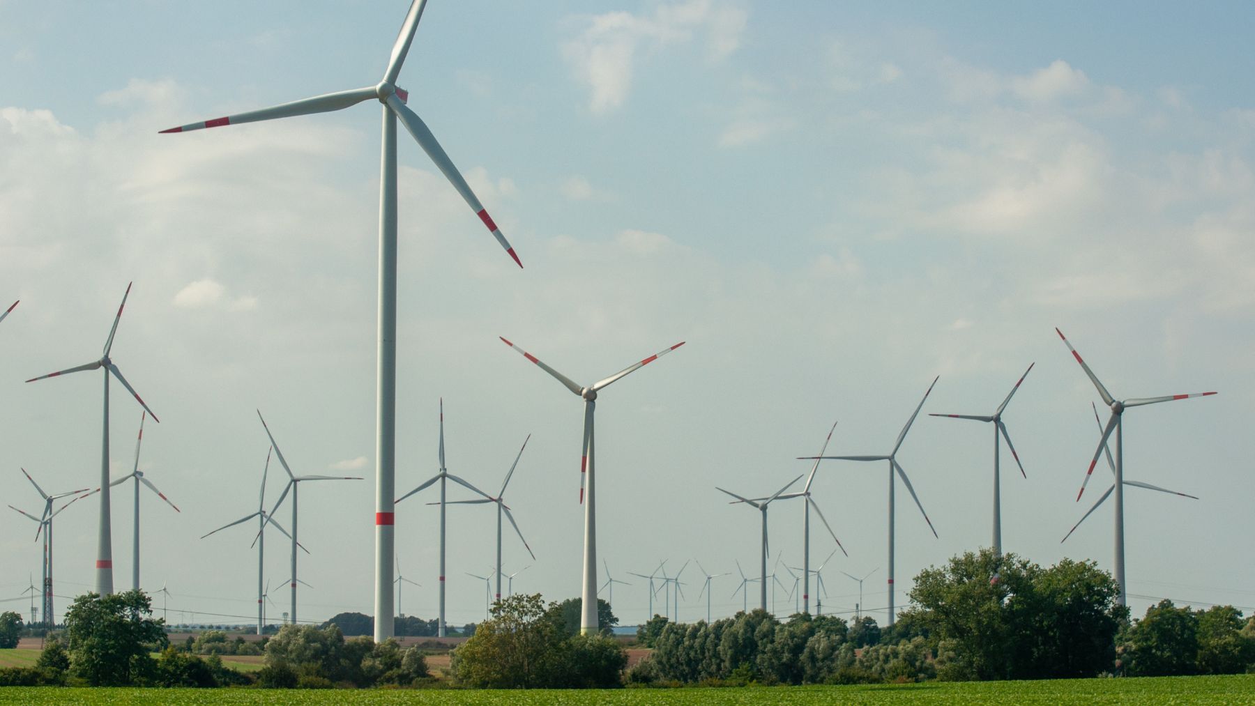 El país que ha instalado tantos molinos que ya no sabe qué hacer con la luz casi gratis