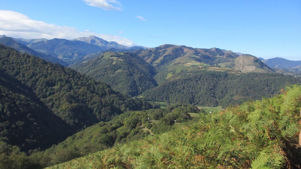 Gobierno vasco rechaza parque eólico Kastillo por su fuerte impacto ambiental