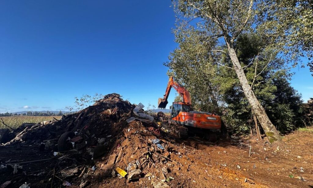 Humedal en ex campamento de Valdivia inicia recuperación tras retiro masivo de residuos