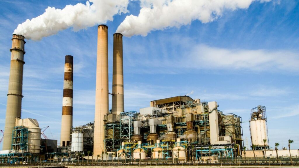 Las plantas de biocombustible de Hatta Energy en Galicia buscan convertir la región en polo energético