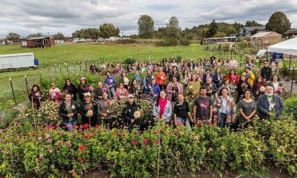 Más de 370 postulaciones recibió el bootcamp Mujeres que Florecen Territorios