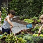 Más de 4.450 centros escolares ya cuentan con huerto en España y consolidan la agroecología educativa