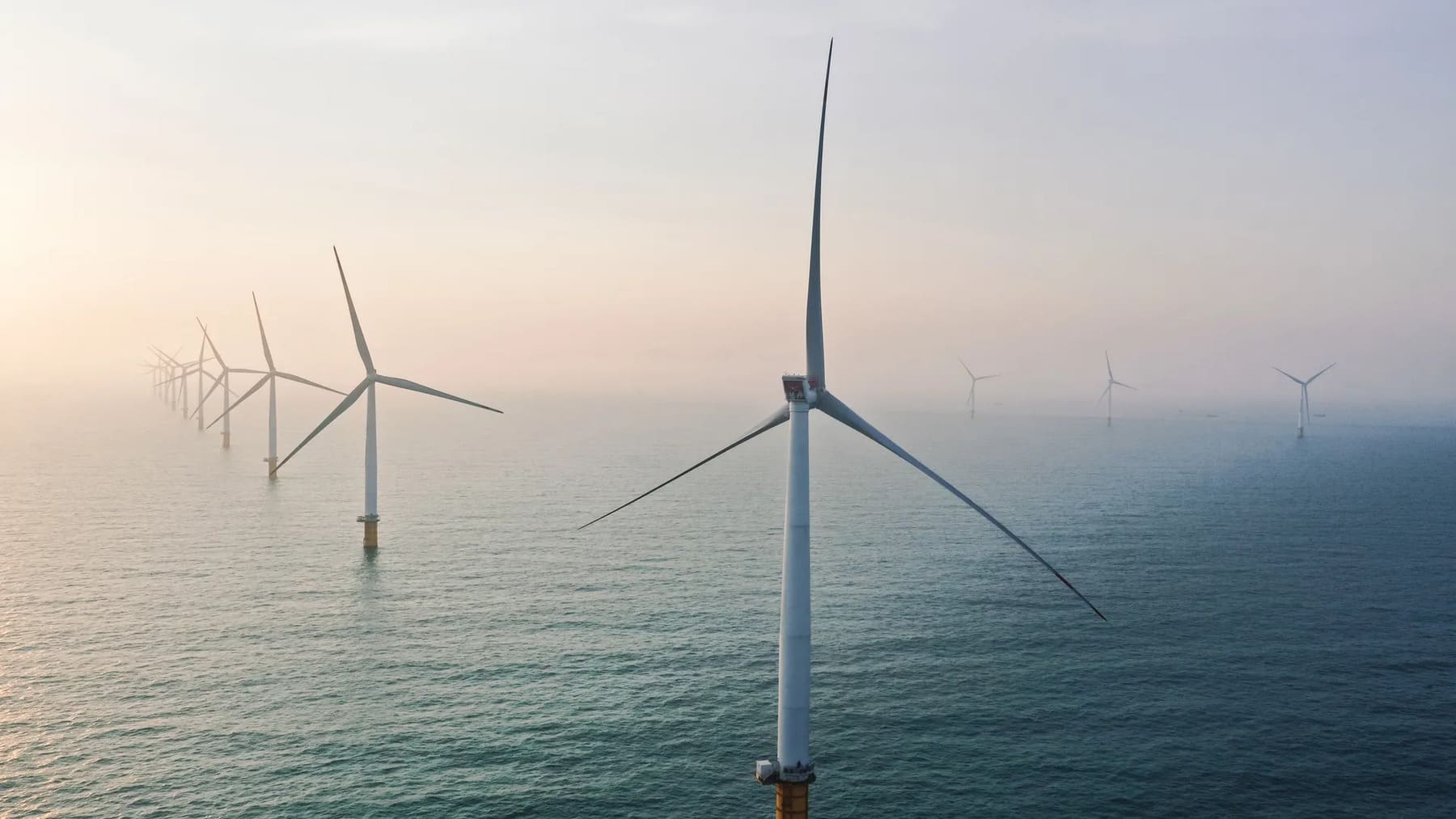 PP de Menorca rechaza parques eólicos marinos por impacto ambiental