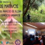 Proyecto ambiental en Parque Urbano El Bosque cerrará con charla sobre núcleos nativos