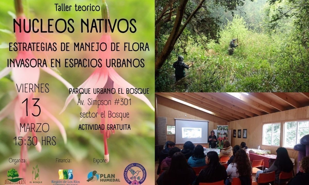 Proyecto ambiental en Parque Urbano El Bosque cerrará con charla sobre núcleos nativos