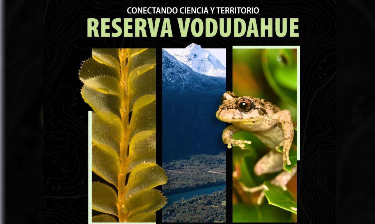 Seminario en Valdivia reunirá a investigadores para conectar ciencia y conservación