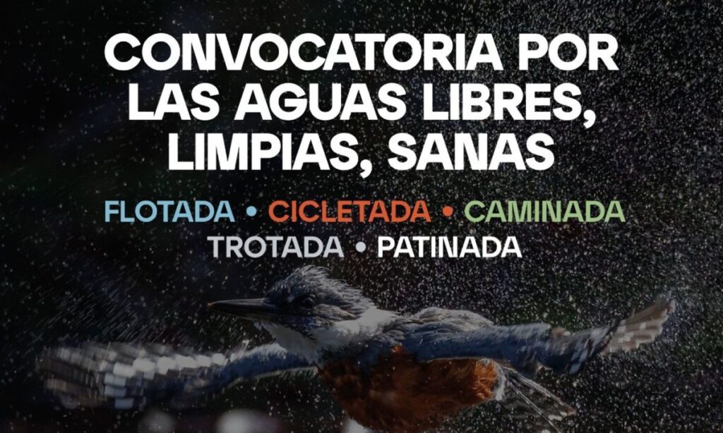 Valdivia celebra el Día Mundial del Agua con cine, música, poesía y deporte