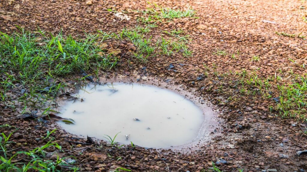 descubren que la agricultura está destruyendo la capacidad de la tierra para retener el agua empeorando las sequías extremas