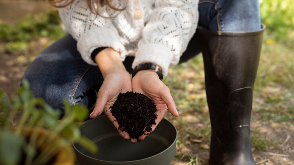 la agroecología es la única solución para garantizar alimentos saludables