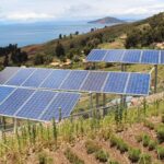 Actividad agrovoltaica en suelo agrario: Canarias defiende no perder ni un metro cultivable