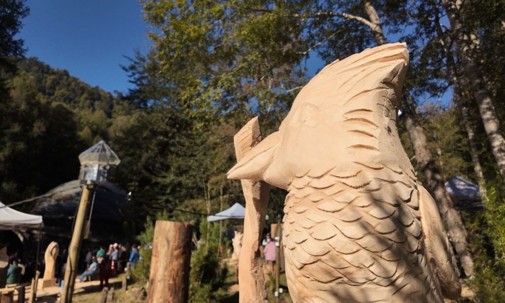 Arte y conservación se encuentran en concurso de esculturas de madera en Huilo Huilo
