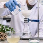 Científicos descubren que una planta común es capaz de eliminar microplásticos del agua sustituyendo los químicos agresivos