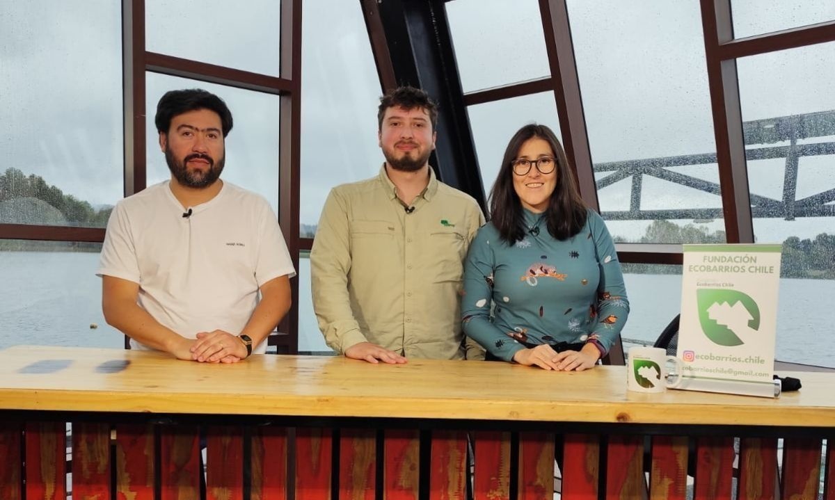 Conoce el Programa de Dendroenergía que apoya a productores y comerciantes de leña del país