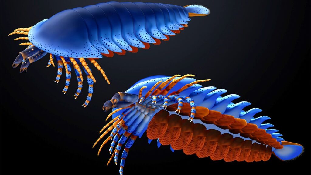 Descubrimiento de fósil de artrópodo más antiguo cambia la evolución de las arañas 20 millones de años