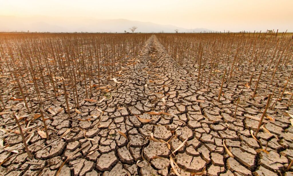 Día de la Tierra: avances regulatorios no logran frenar el deterioro ambiental