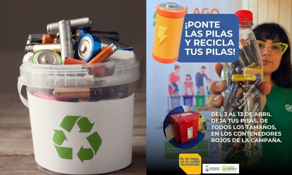 Invitan a vecinos de Lago Ranco a sumarse a campaña Ponte las pilas y recicla tus pilas