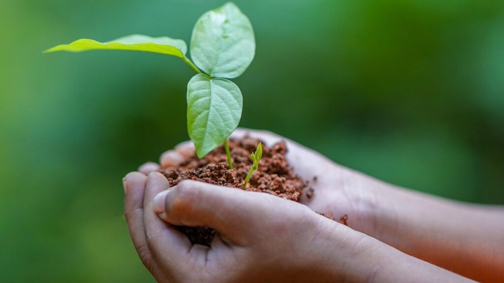 La agricultura ecológica en la PAC europea se consolida como sector estratégico para el futuro en el Parlamento Europeo
