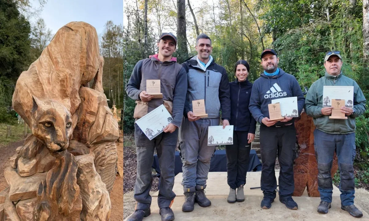 Obra inspirada en el puma gana Concurso de Esculturas de Madera de Huilo Huilo