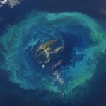 Parece un espectáculo natural pero es una trampa: un satélite capta un extraño anillo luminoso en el océano vinculado a una meseta submarina mortal