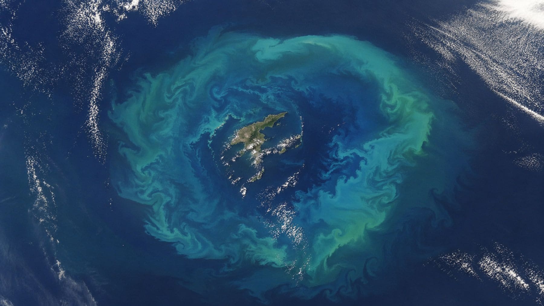 Parece un espectáculo natural pero es una trampa: un satélite capta un extraño anillo luminoso en el océano vinculado a una meseta submarina mortal