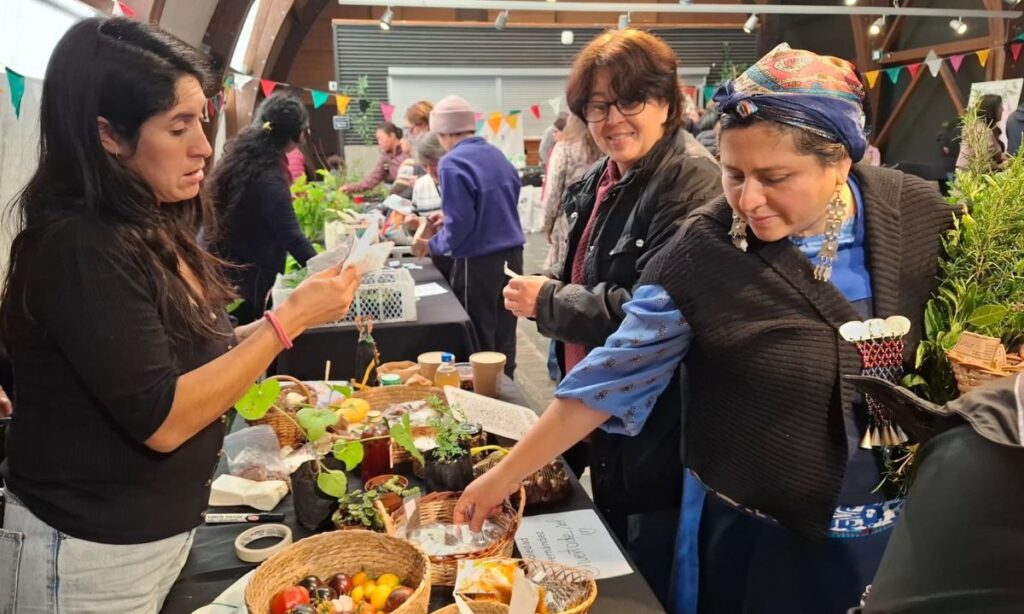 Valdivia fortalece la soberanía alimentaria con intercambio de semillas