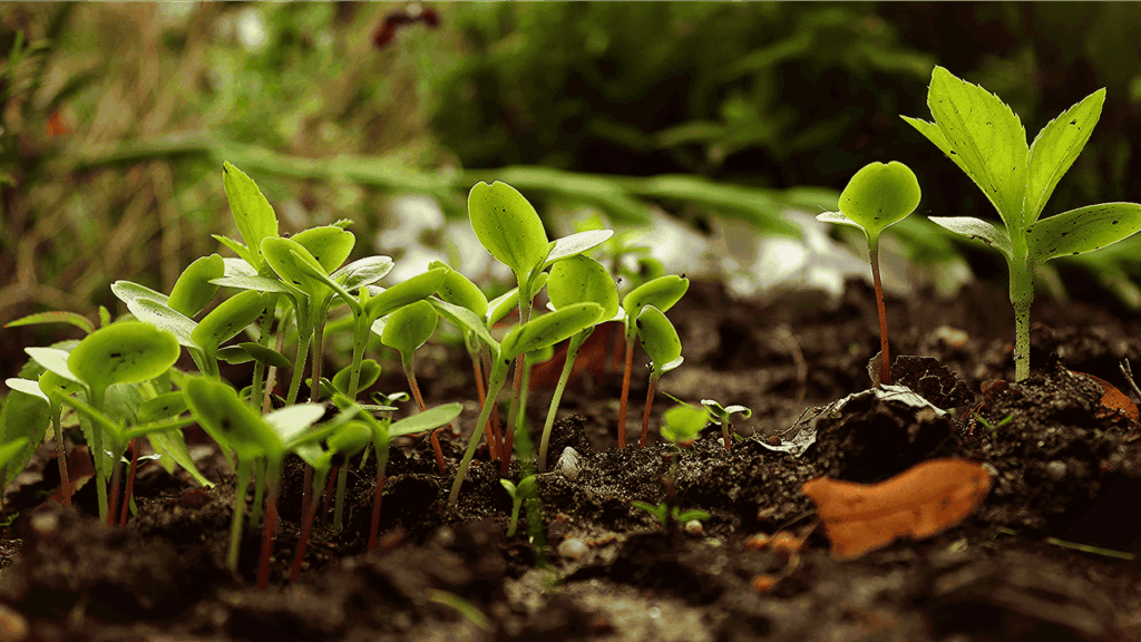 producción ecológica en Navarra mantiene estabilidad y refuerza su valor sostenible con más de 72.000 hectáreas certificadas