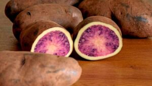 Atsegiñe: la nueva patata morada con más antioxidantes y resistencia natural revoluciona la agricultura sostenible