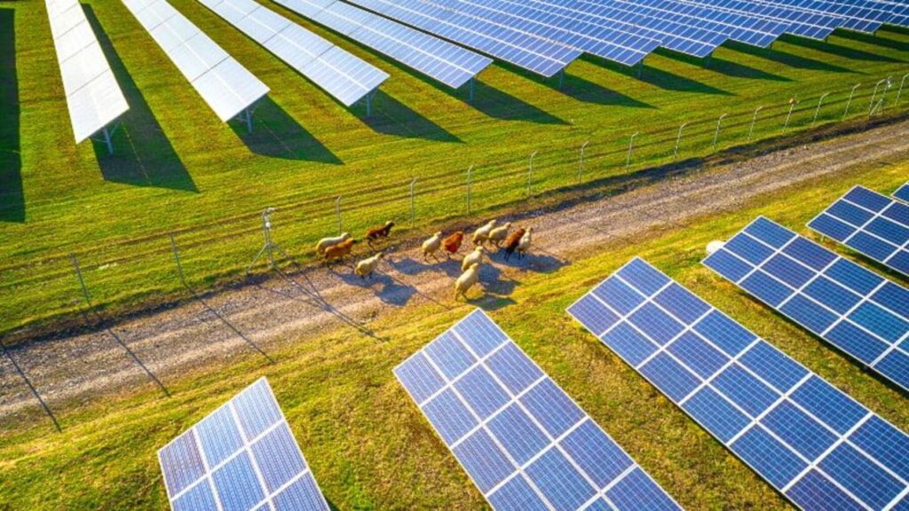 Baleares fija nuevos criterios para proyectos fotovoltaicos y proteger el medio ambiente priorizando suelos degradados