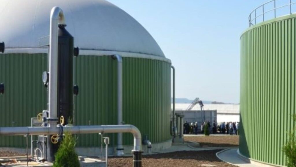 Bioenergy Europe reclama más apoyo para la bioenergía sostenible en Europa