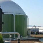 Bioenergy Europe reclama más apoyo para la bioenergía sostenible en Europa