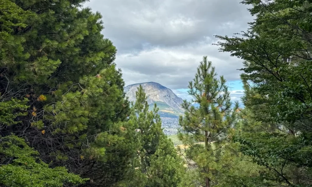 Coyhaique ya cuenta con su Plan de Acción Comunal de Cambio Climático