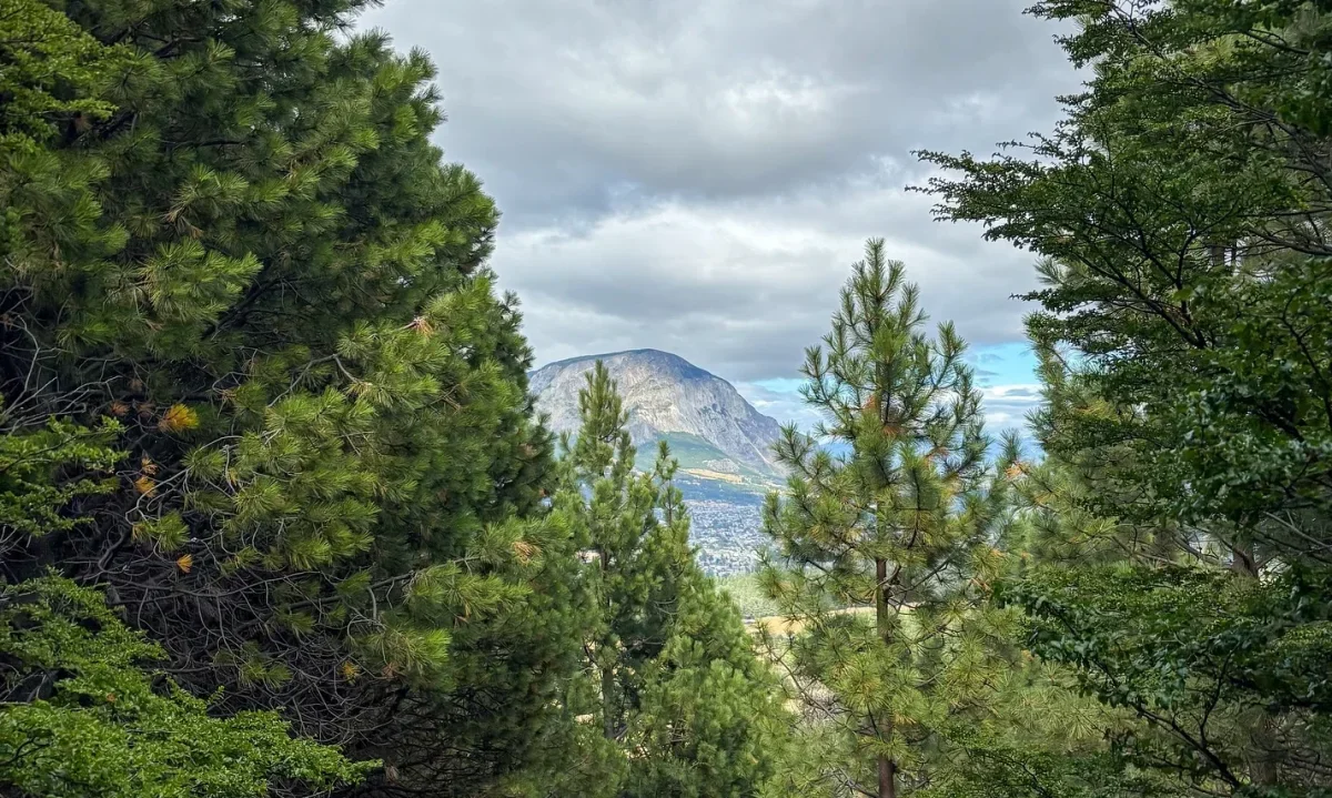 Coyhaique ya cuenta con su Plan de Acción Comunal de Cambio Climático