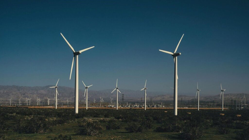 Crisis energética en Europa refuerza su apuesta por las energías renovables y las redes eléctricas