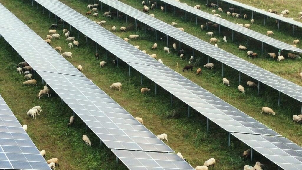 Día Internacional de la Luz 2026: sin renovables, el precio de la electricidad sería el triple