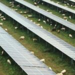 Día Internacional de la Luz 2026: sin renovables, el precio de la electricidad sería el triple