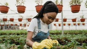 Hoy 17 de mayo se celebra el ‘Día del Horticultor 2026’ y se reivindica la agricultura ecológica