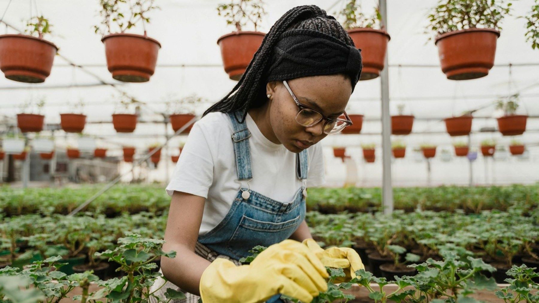 Hoy 17 de mayo se celebra el ‘Día del Horticultor 2026’ y se reivindica la agricultura ecológica